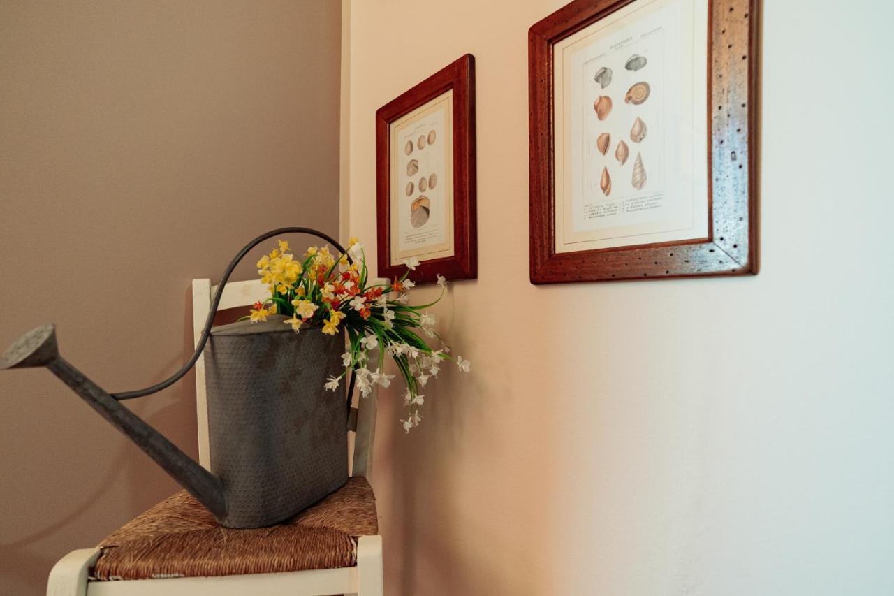 Il Pozzo Country House Collescipoli Dış mekan fotoğraf