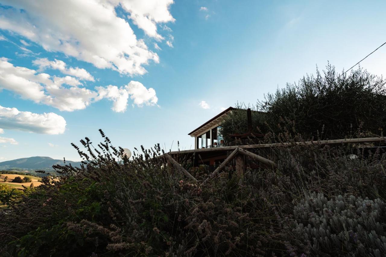 Il Pozzo Country House Collescipoli Dış mekan fotoğraf
