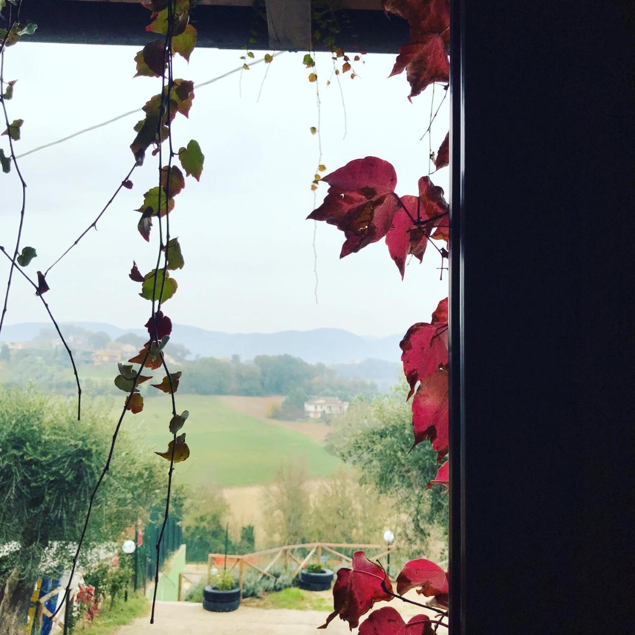 Il Pozzo Country House Collescipoli Dış mekan fotoğraf